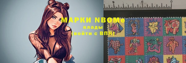 хмурый Покачи