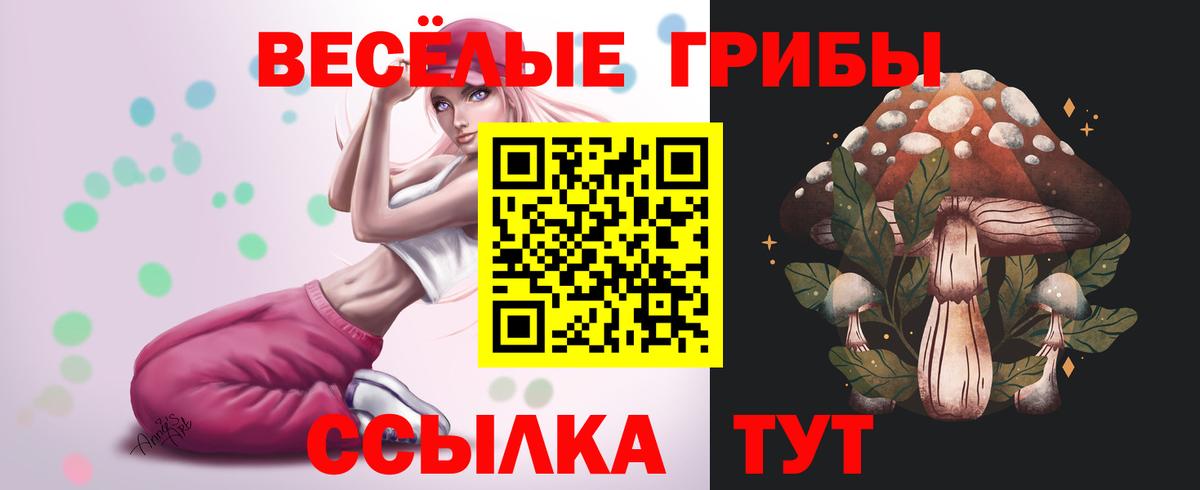 Галлюциногенные грибы GOLDEN TEACHER  Вход с VPN  Рославль 